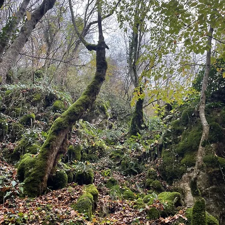 Prázdninový areál Mooie In De Prachtige