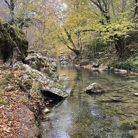 Mooie In De Prachtige