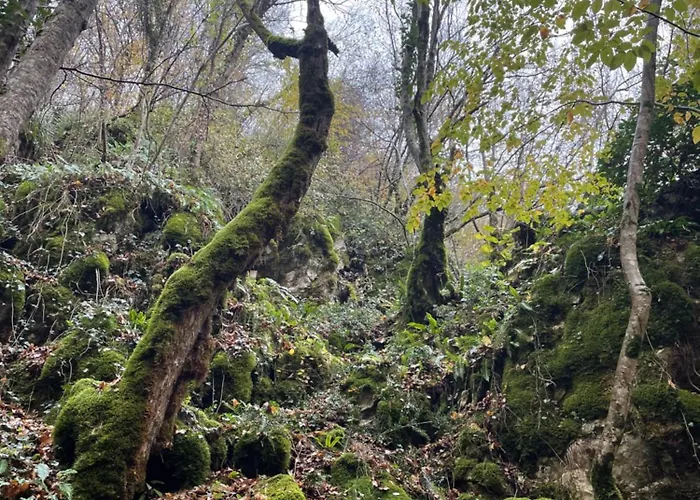 홀리데이파크 Mooie In De Prachtige