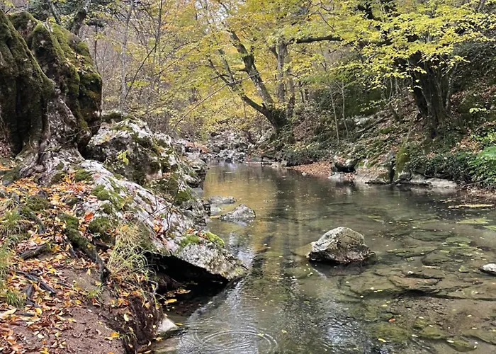 Mooie In De Prachtige